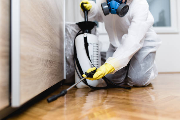 Best Best Pest Control Companies  in Sneads, FL