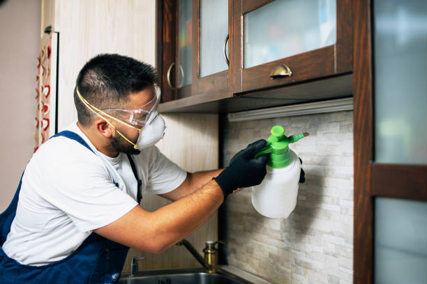 Best Residential Pest Control  in Sneads, FL