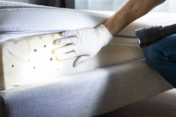 Best Emergency Pest Control  in Sneads, FL