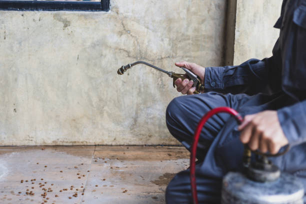 Best Pest Prevention Services  in Sneads, FL